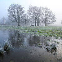 Buy canvas prints of Winter magic Rickerby Park by Michael Brookes