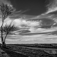 Buy canvas prints of Black and White on Deacon Hill by Gary Norman