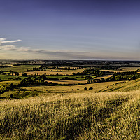 Buy canvas prints of Lone tree at sunset on Deacon Hill, Hertfordshire by Gary Norman