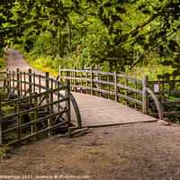 Buy canvas prints of Pooh Sticks Bridge located in the One Hundred Acre woods  by George Robertson