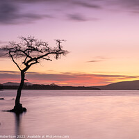 Buy canvas prints of Sunset at Milarrochy Bay, Loch Lomond, Scotland by George Robertson