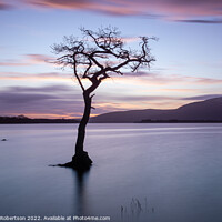 Buy canvas prints of Lone Tree at Sunset, Loch Lomond by George Robertson