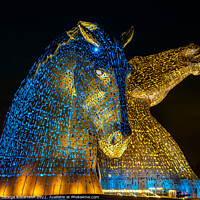 Buy canvas prints of The Kelpies in support of Ukraine are light up in blue and yello by George Robertson