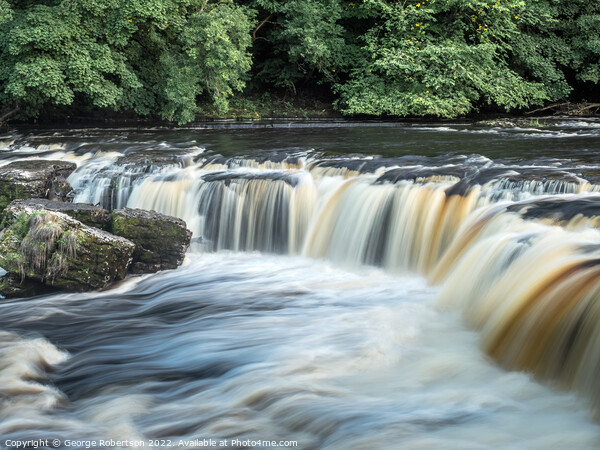 Aysgarth Upper Falls in Yorkshire Dales Picture Board by George Robertson