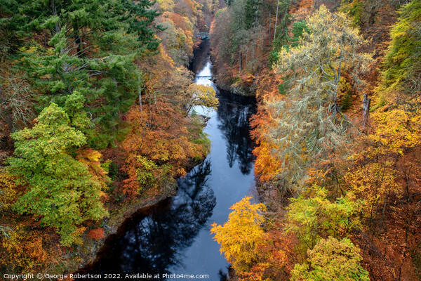 Autumn colours at Killiecrankie, Scotland Picture Board by George Robertson