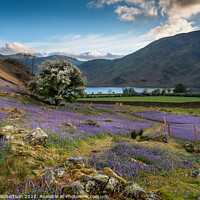 Buy canvas prints of Crummock Water and Bluebells by George Robertson