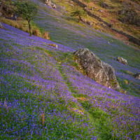 Buy canvas prints of Last light on the Bluebells by George Robertson
