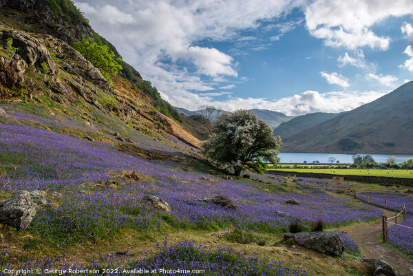 Looking down to Crummock Water Picture Board by George Robertson
