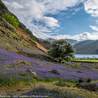 Buy canvas prints of Looking down to Crummock Water by George Robertson
