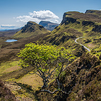 Buy canvas prints of The Quiraing by George Robertson