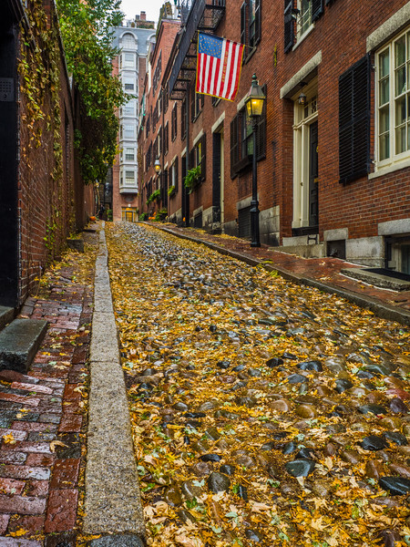 The Fall on Acorn Street ,Boston Picture Board by George Robertson