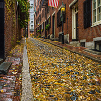 Buy canvas prints of The Fall on Acorn Street ,Boston by George Robertson