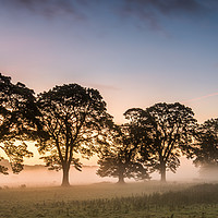Buy canvas prints of Mist in the Fields at Sunrise by George Robertson