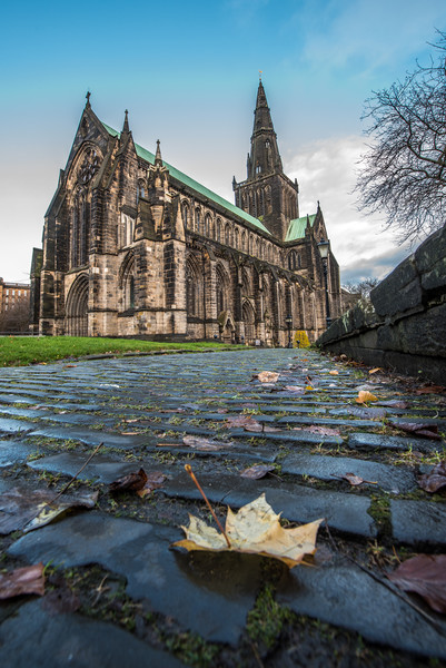 Glasgow Cathedral Cobbles Picture Board by George Robertson