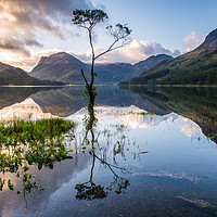 Buy canvas prints of Lone Tree on Buttermere  by George Robertson