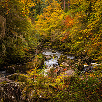 Buy canvas prints of Autumn at the Hermitage by George Robertson