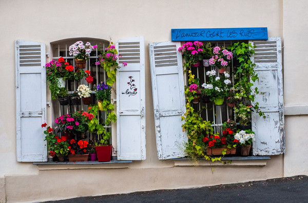 Montmartre Window Blooms Picture Board by George Robertson