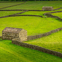 Buy canvas prints of Swaledale Barns and stone walls by George Robertson