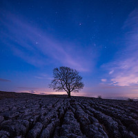 Buy canvas prints of Malham Tree by night by George Robertson