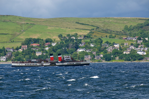 Paddlesteamer Waverley on River Clyde Picture Board by George Robertson