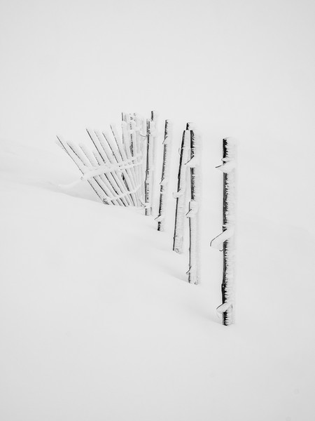 Rime Ice on snow fence  Picture Board by George Robertson