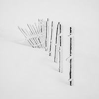 Buy canvas prints of Rime Ice on snow fence  by George Robertson