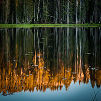 Buy canvas prints of Reflection in a Pond by George Robertson