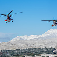 Buy canvas prints of Two Rescue Sea Kings near Ben Lomond by George Robertson