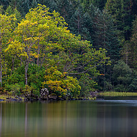 Buy canvas prints of Reflections of Autumn trees in Loch Chon by George Robertson
