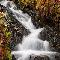 Buy canvas prints of Flowing Stream in Autumn by George Robertson