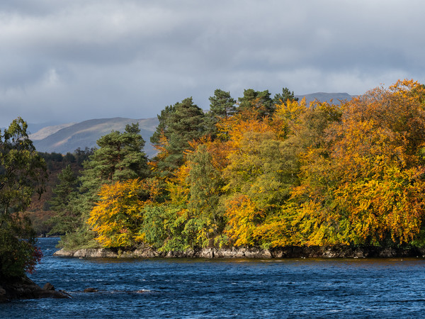 Autumn day at Loch Katrine Picture Board by George Robertson