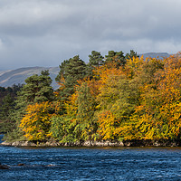 Buy canvas prints of Autumn day at Loch Katrine by George Robertson