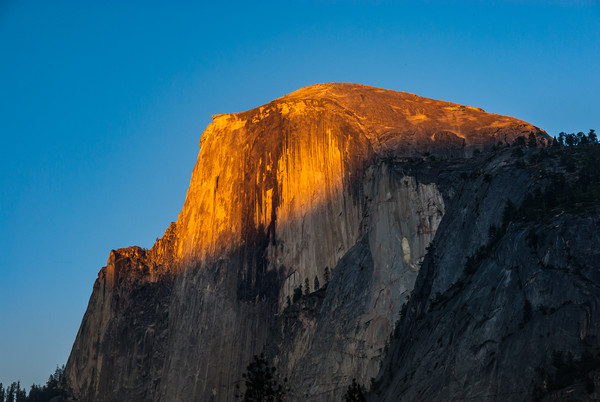 Last light on Half Dome Picture Board by George Robertson