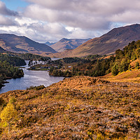 Buy canvas prints of Autumn in Glen Affric  by George Robertson