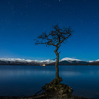 Buy canvas prints of Lone Tree at Loch Lomond by George Robertson