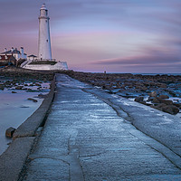 Buy canvas prints of St Marys Lighthouse on Northumbrian Coast by George Robertson