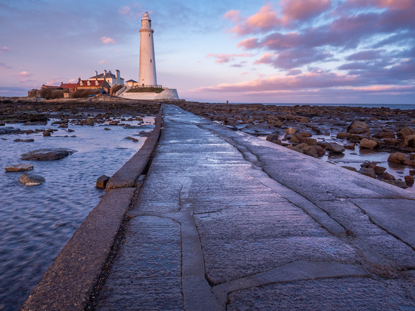 St Marys Lighthouse on Northumbrian Coast Picture Board by George Robertson