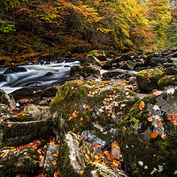 Buy canvas prints of Autumn on the River Braan in Perthshire by George Robertson