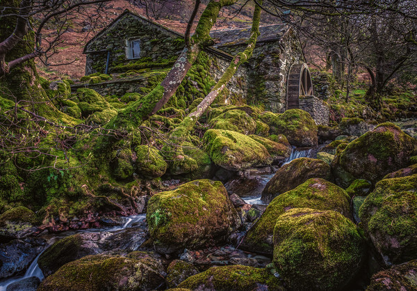 The Old watermill in Borrowdale Picture Board by George Robertson