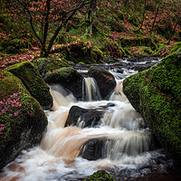Buy canvas prints of Tumbling Yorkshire brook by George Robertson