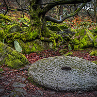 Buy canvas prints of Old Millstone on the forest floor by George Robertson
