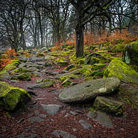 Buy canvas prints of Old Millstone beside path in Padley Gorge woods by George Robertson