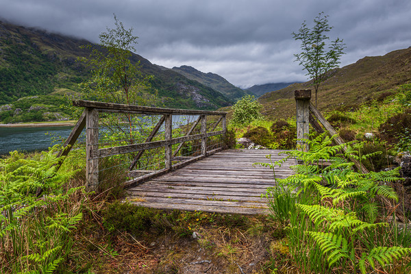 Old Wooden Bridge on the path to Barisdale Picture Board by George Robertson