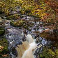 Buy canvas prints of Autumn colours in Perthshire, Scotland by George Robertson