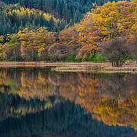 Buy canvas prints of Colorful autumn trees and reflections.  by George Robertson