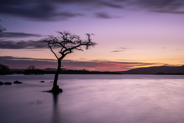 Sunset at Milarrochy Bay, Loch Lomond, Scotland Picture Board by George Robertson