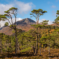 Buy canvas prints of Sgurr na Lapaich in Glen Affric by George Robertson