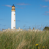 Buy canvas prints of Looking across the dunes to Barns Ness Lighthouse by George Robertson