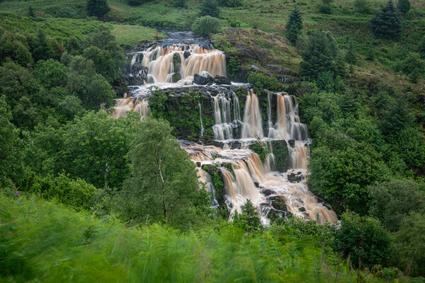Loup of Fintry waterfalls Picture Board by George Robertson