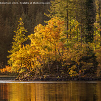 Buy canvas prints of Autumn gold at Loch Ard by George Robertson
